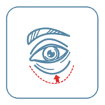 Diagrama del ojo con una flecha roja que apunta a la piel debajo del ojo