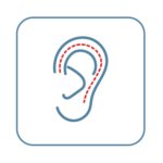 A drawing of an ear with a red dotted line